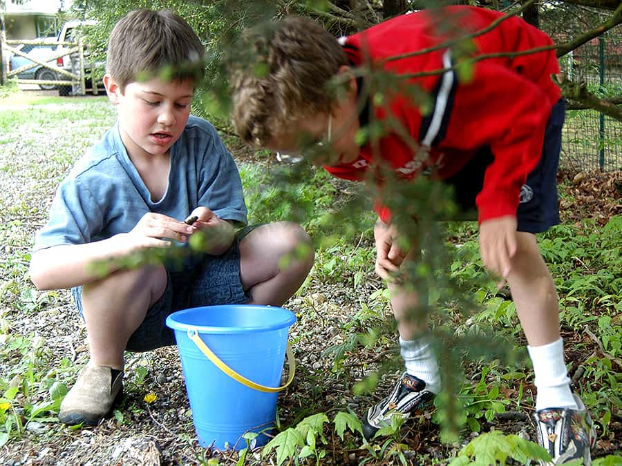 2 boys outside with a bucket looking for rocks