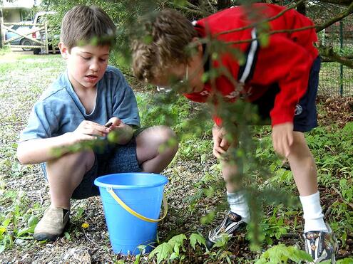 2 boys outside with a bucket looking for rocks
