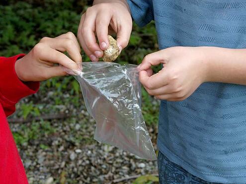 dropping the rock into the ziplock back