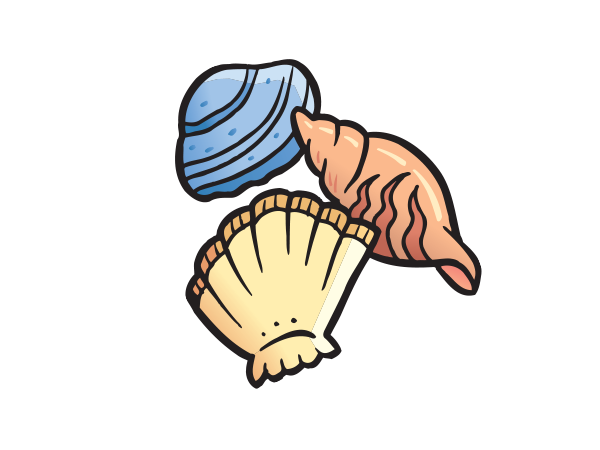 shells