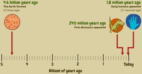 Timeline showing an extremely large gap between when earth was created and when dinosaurs and humans appeared. 