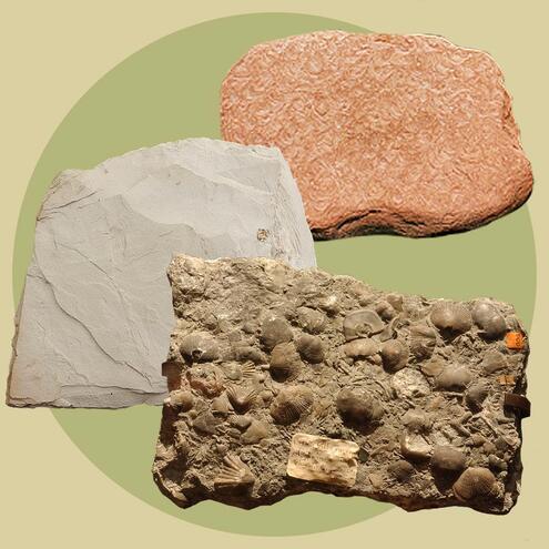 Chunks of sandstone, chalk, and limestone.