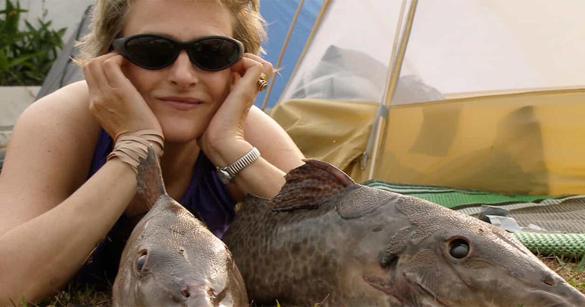 Being An Ichthyologist: Melanie Stiassny | Amnh