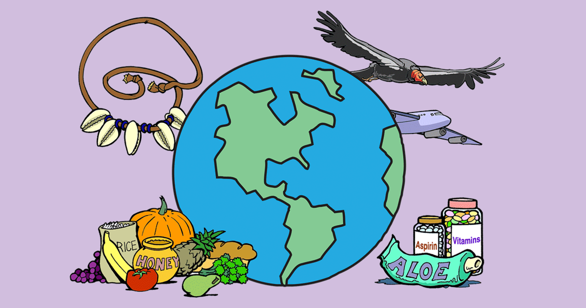 My world рисунок