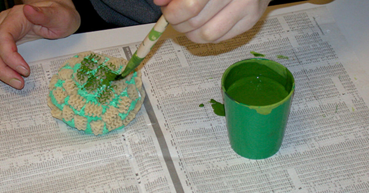 Create A Coral Reef Instructions Amnh