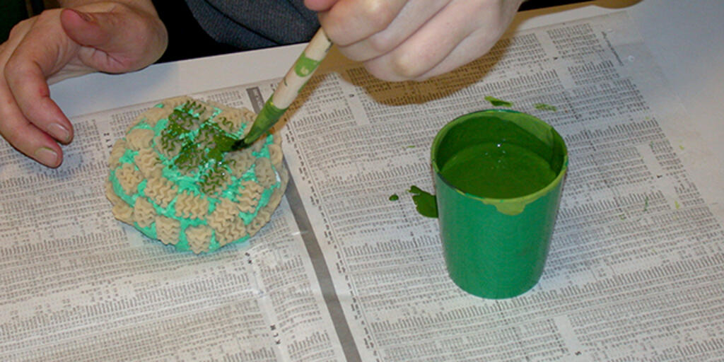Create A Coral Reef Instructions Amnh