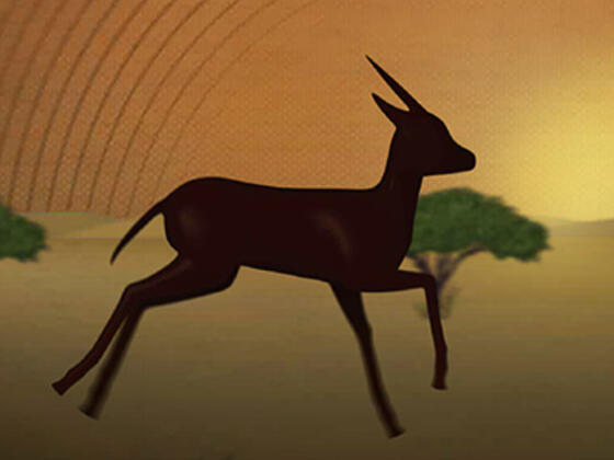 Gazelle galloping in an African savannah at sunset