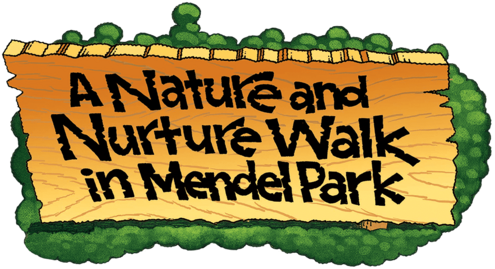 A Nature Nurture Walk in Mendel Park