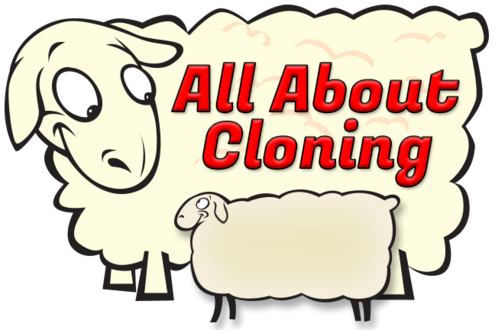 All About Cloning