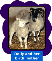 dolly and her birth mother