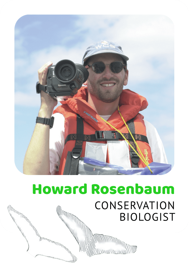 Photo of Howard Rosenbaum, Conservation Biologist and a drawing of humpback flukes