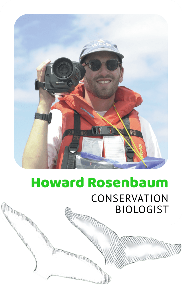 Photo of Howard Rosenbaum, Conservation Biologist and a drawing of a humpback flukes