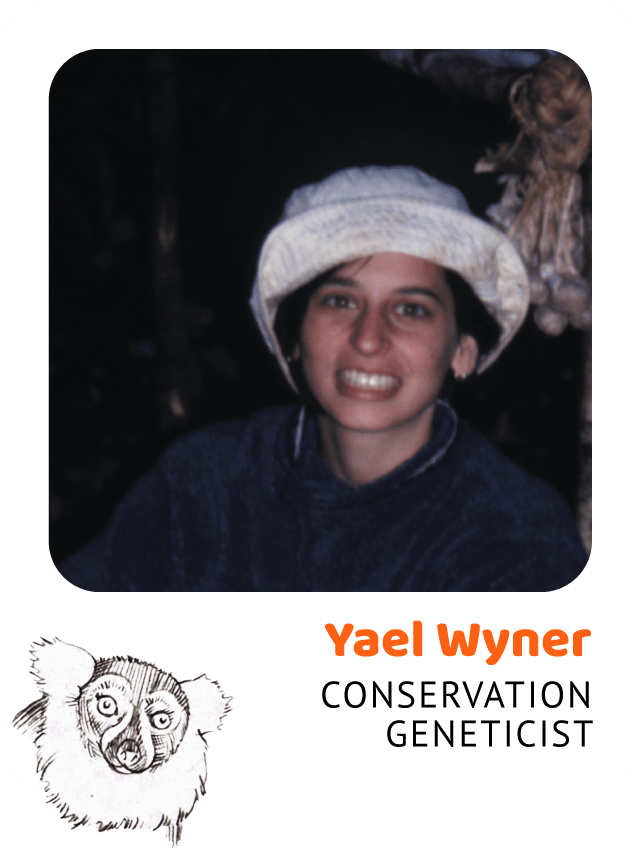 Photo of Yael Wyner, Conservation Geneticist and drawing of a ruffed lemur
