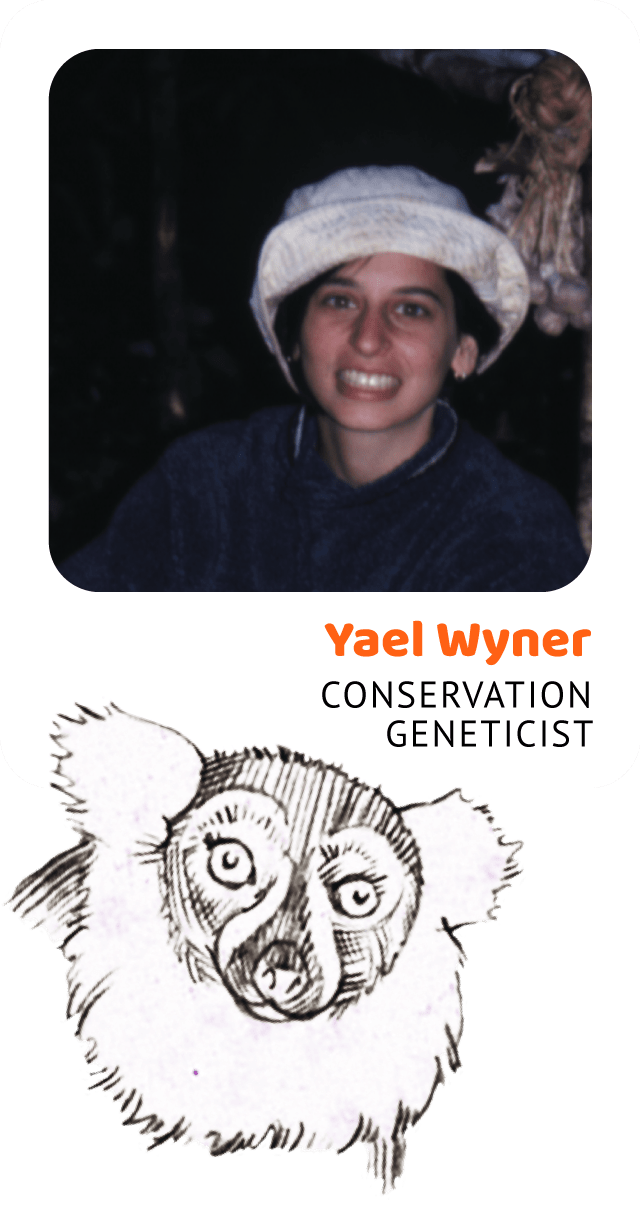 Photo of Yael Wyner, Conservation Geneticist and a drawing of a ruffed lemur