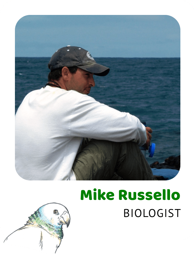 Photo of Mike Russello, Biologist and a drawing of a St. Vincent parrot
