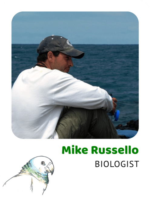 Photo of Mike Russello, Biologist and a drawing of a St. Vincent parrot