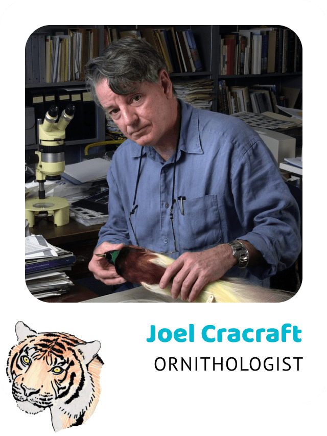 Photo of Joel Cracraft, Ornithologist and a drawing of a Sumatran tiger
