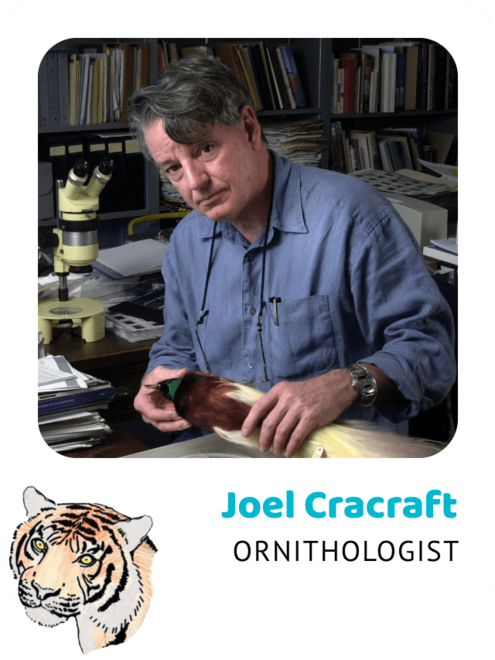 Photo of Joel Cracraft, Ornithologist and a drawing of a Sumatran tiger