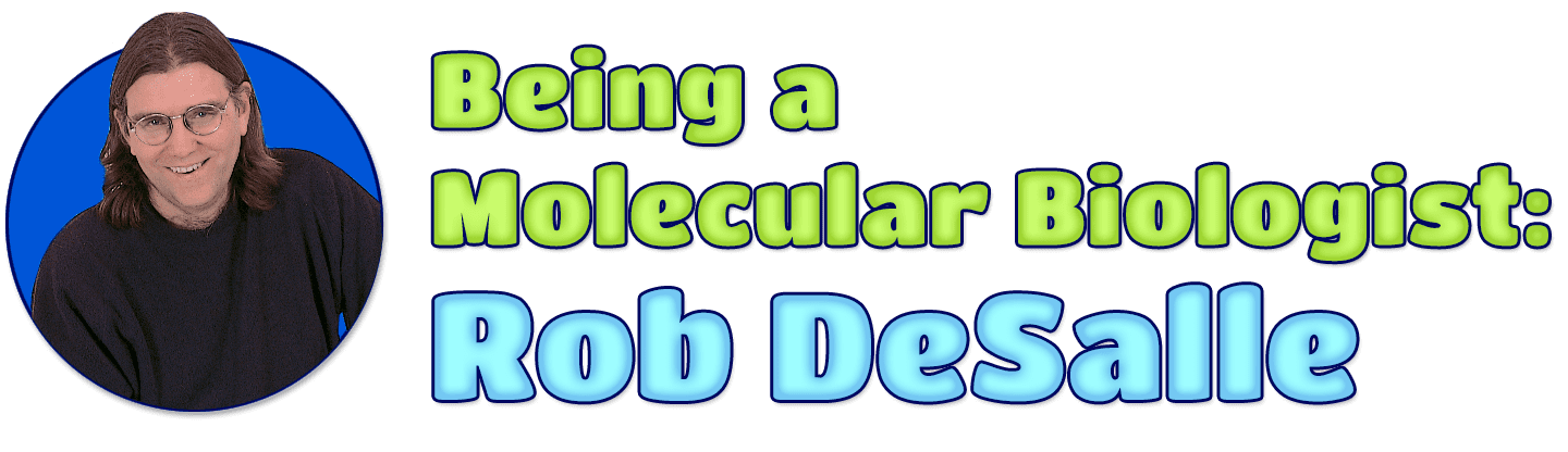 Being a Molecular Biologist: Rob DeSalle