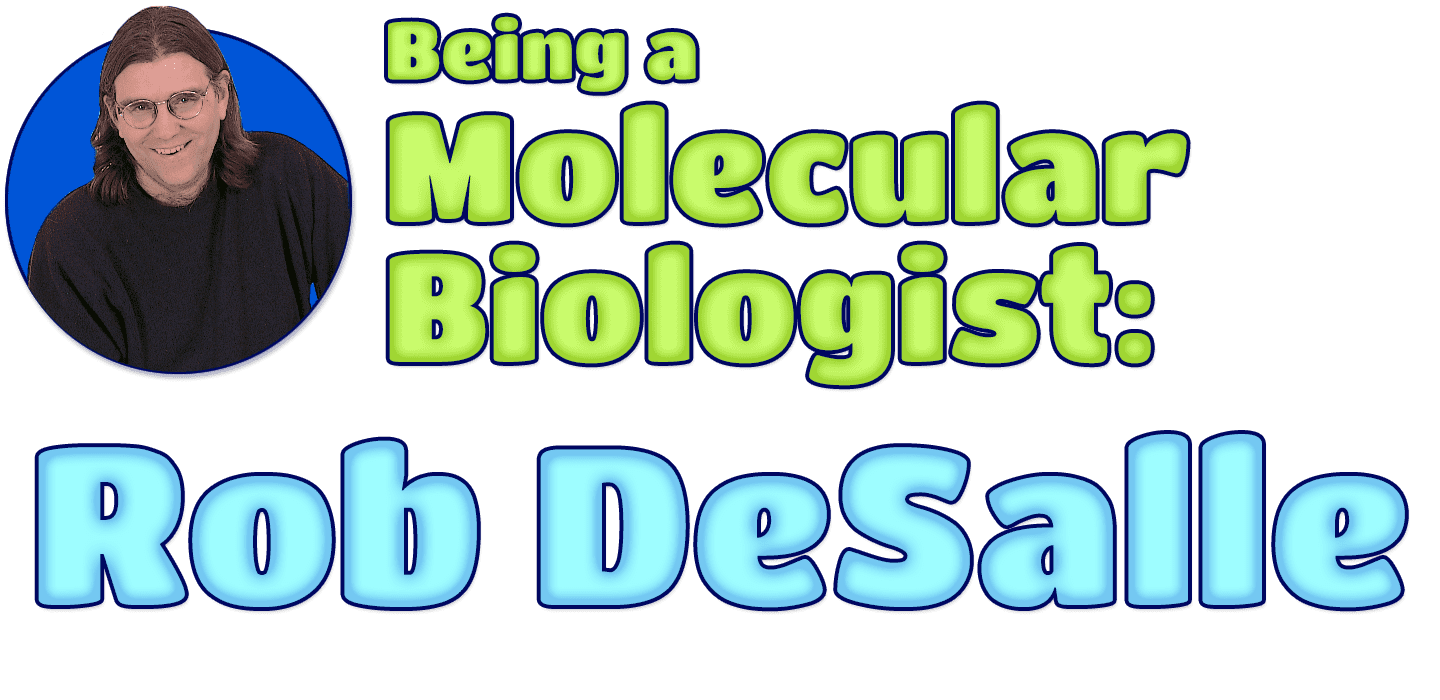Being a Molecular Biologist: Rob DeSalle