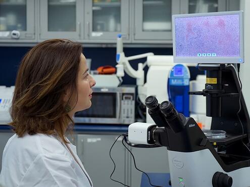 stem cell scientist in the lab