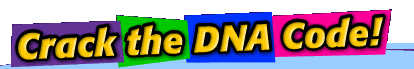 Crack the DNA Code Game | AMNH