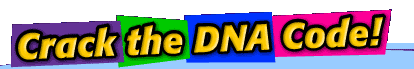 Crack the DNA Code! graphic title