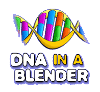 onion dna experiment