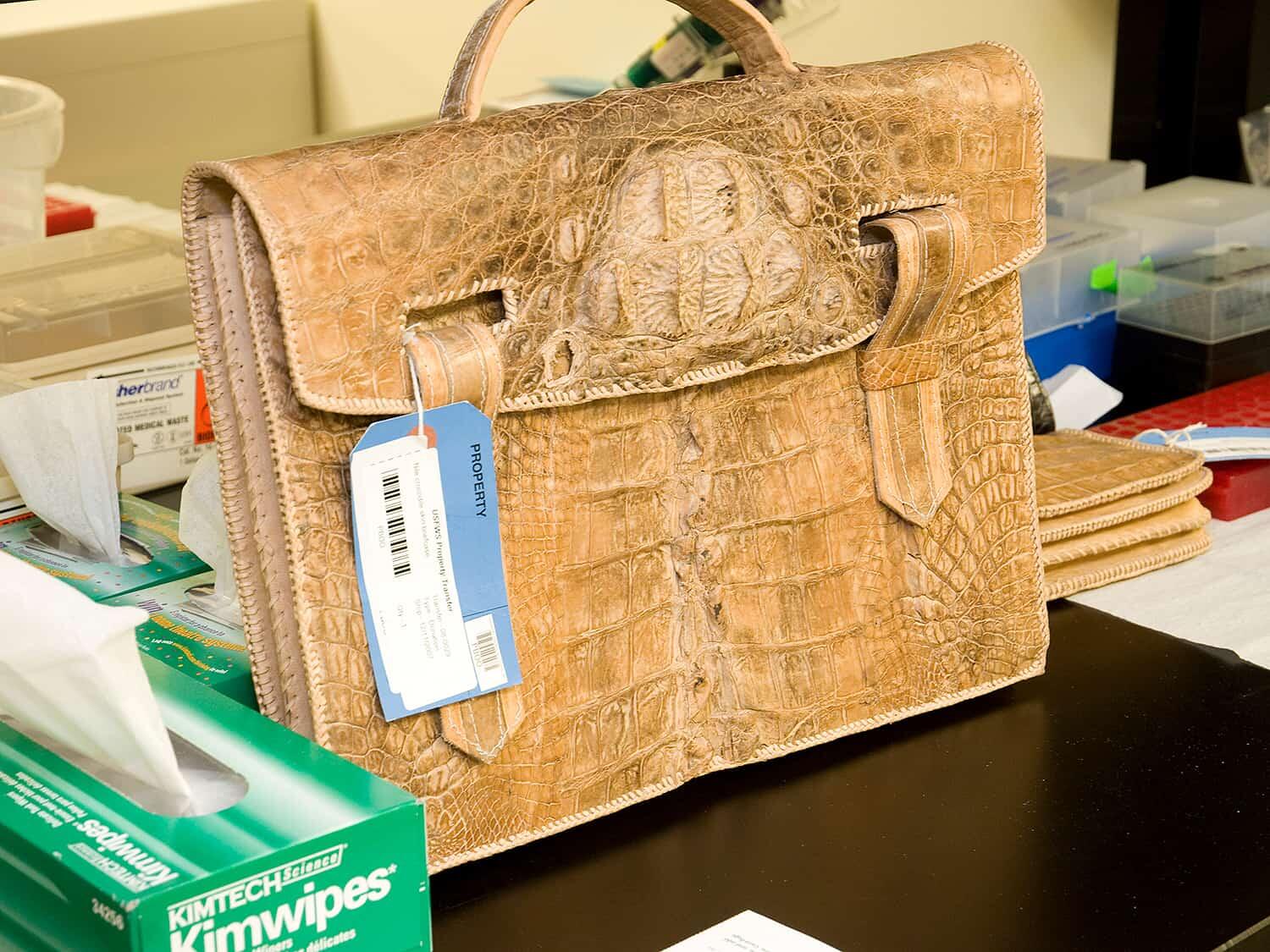 In Pictures: CSI with DNA | AMNH