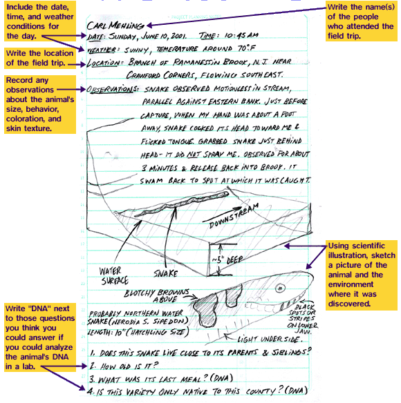 journal_page