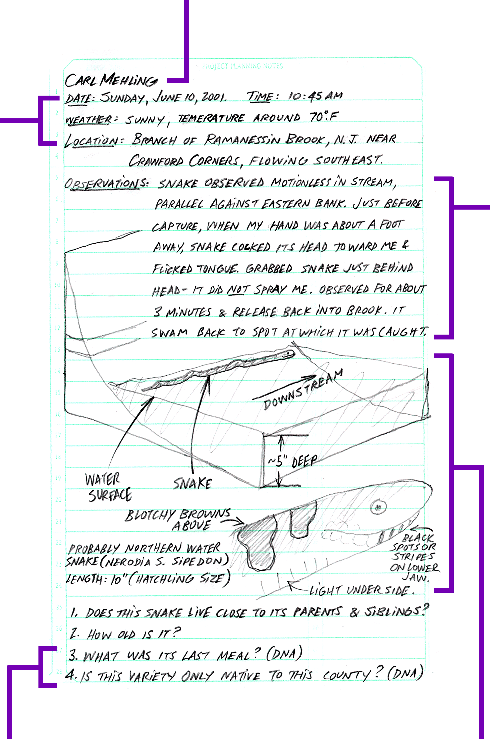 field journal page with name, date, weather, location, observations and drawings recorded by hand