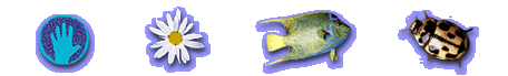 dna_imagestrip
