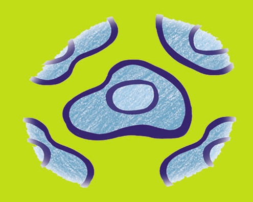 illustration showing cells with nucleus in the middle
