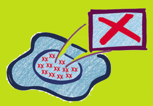 illustration of X shapes inside the nucleus of a cell