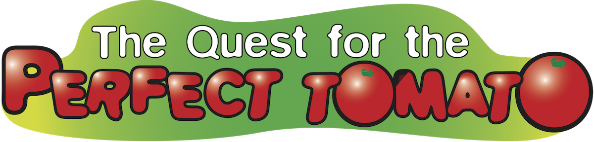 the quest for the perfect tomato
