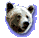 bracelet_bear