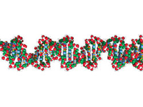 dna