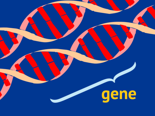 highlighting a gene on a DNA strand