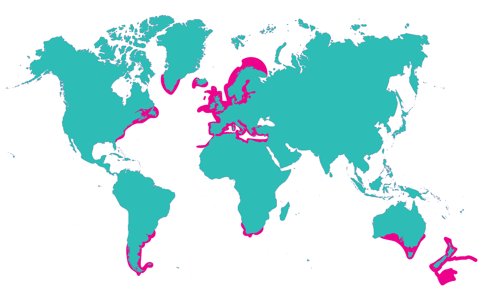 Meet the Sharks | AMNH