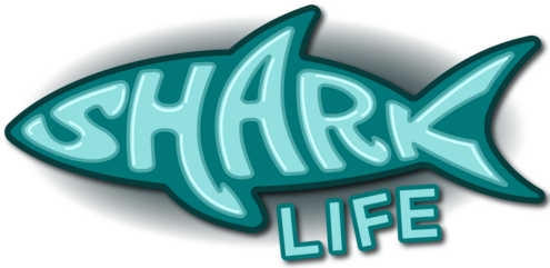 graphic of shark silhouette with "Shark" written in it