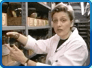 Melanie looking through specimens on shelf