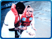 two people helping to restore coral reef