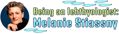 Being an Ichthyologist: Melanie Stiassny
