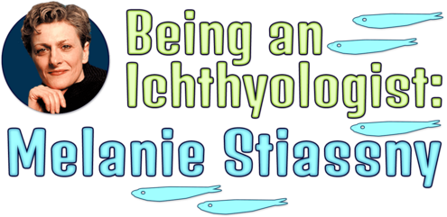 Being an Ichthyologist: Melanie Stiassny