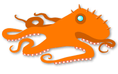 octopus