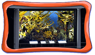 coral diorama