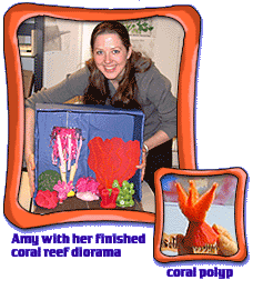 Create A Coral Reef Amnh