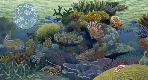 coral reef scene