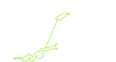 Colorful outline connecting a small, irregular shape with an eel shape with a straight line.