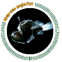 anglerfish